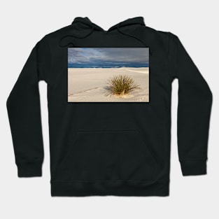 Lone Yucca Hoodie